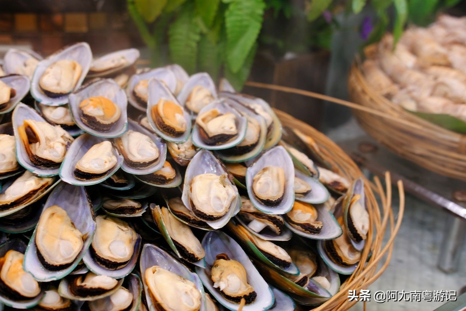 云南昆明有海鲜自助餐吗,云南昆明市自助餐推荐