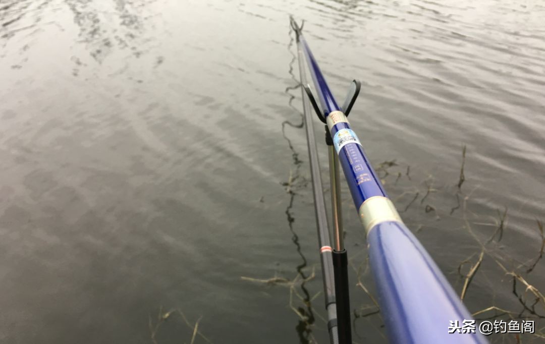 野钓大小通吃的饵料,春季野钓鲫鱼用什么味型饵料最好