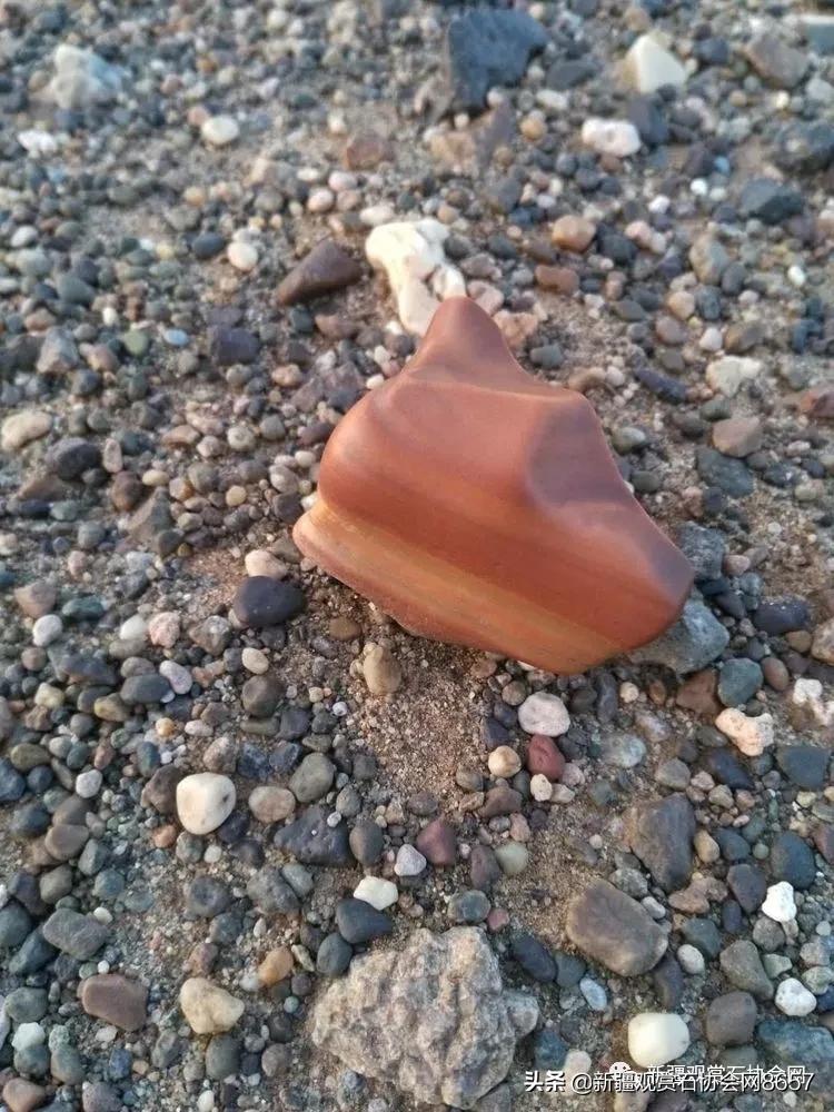 新疆戈壁精灵蛋白石,戈壁蛋白石怎么清洗