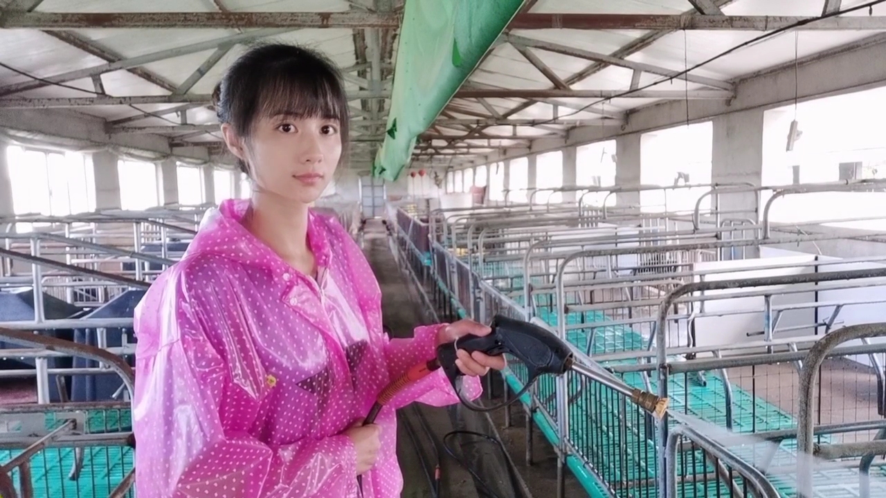 猪场管理实用技巧如何预防猪病,养猪疾病预防书籍