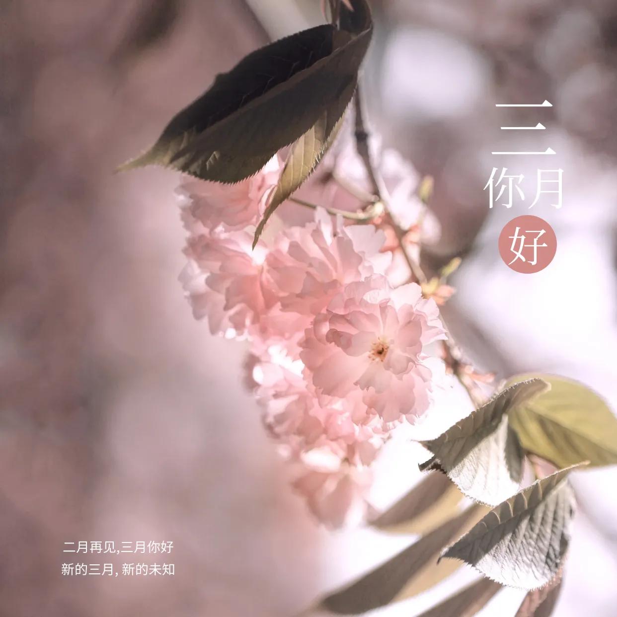 保险公司的内勤是做什么的,保险公司内勤是做什么