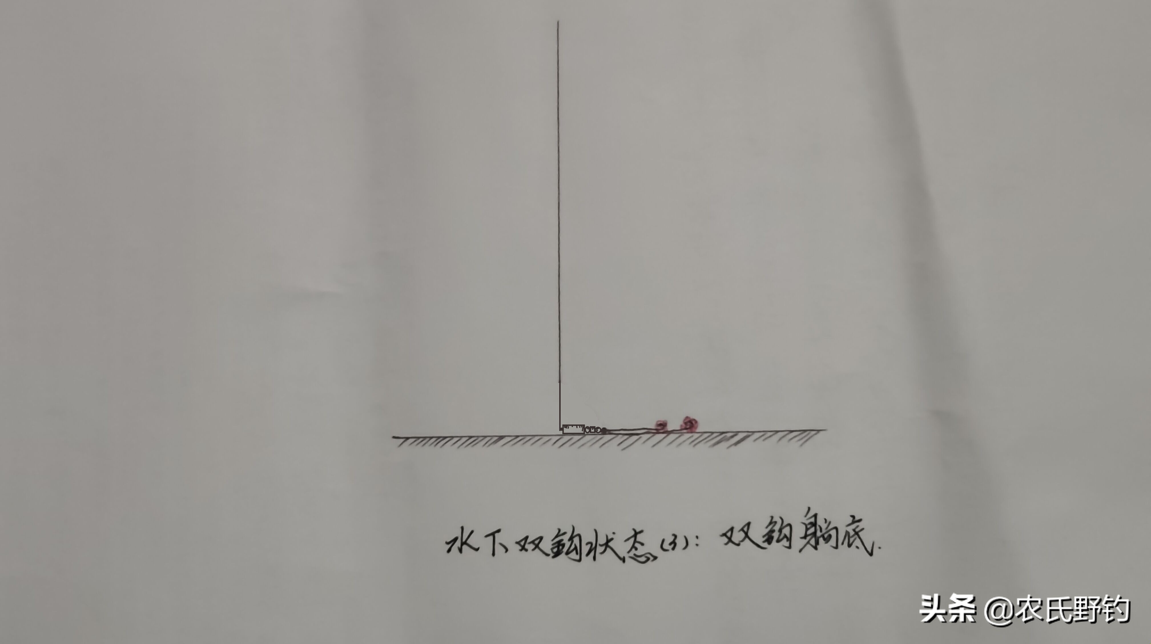 几个小技巧教你钓上鱼,掌握这几个野钓小技巧