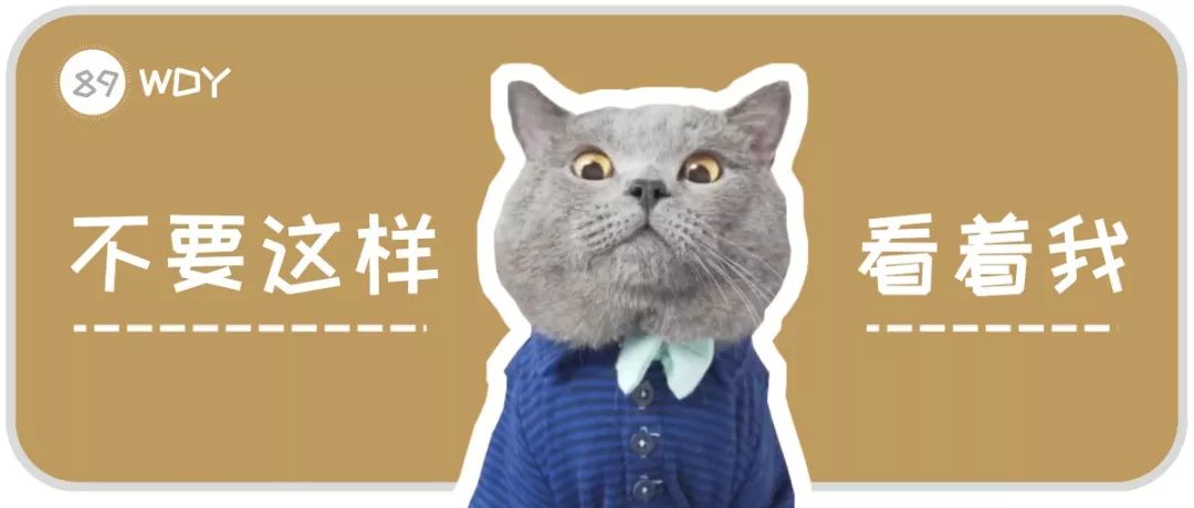 家里小猫咪害怕出门,平常特别怕人的猫突然溜出去了