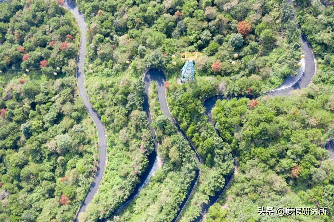 端午节适合去哪里玩广州,端午广州旅游的地方