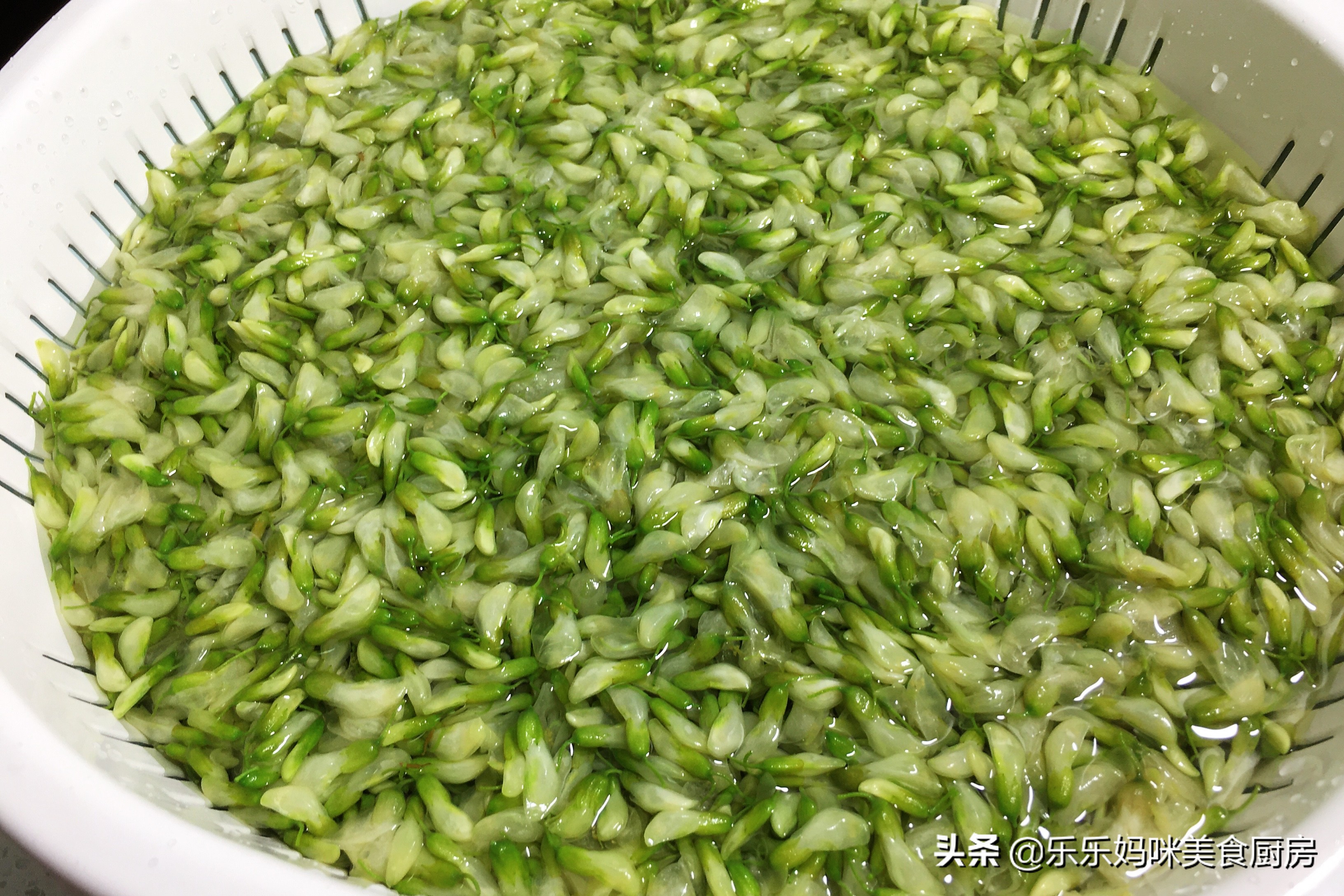 怎么能让槐花一直保持香气,槐花怎样储存保鲜的时间较长