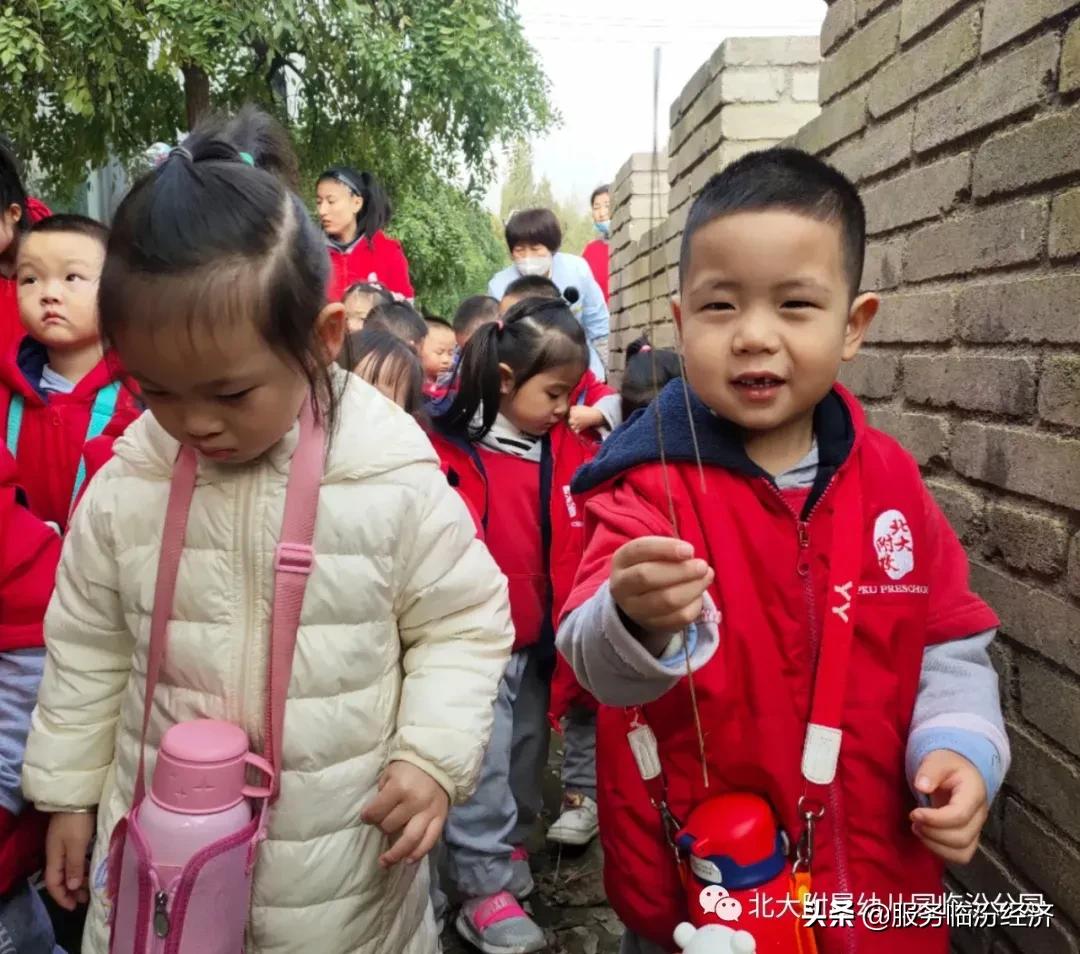 万佳幼儿园临汾,临汾万佳幼儿园