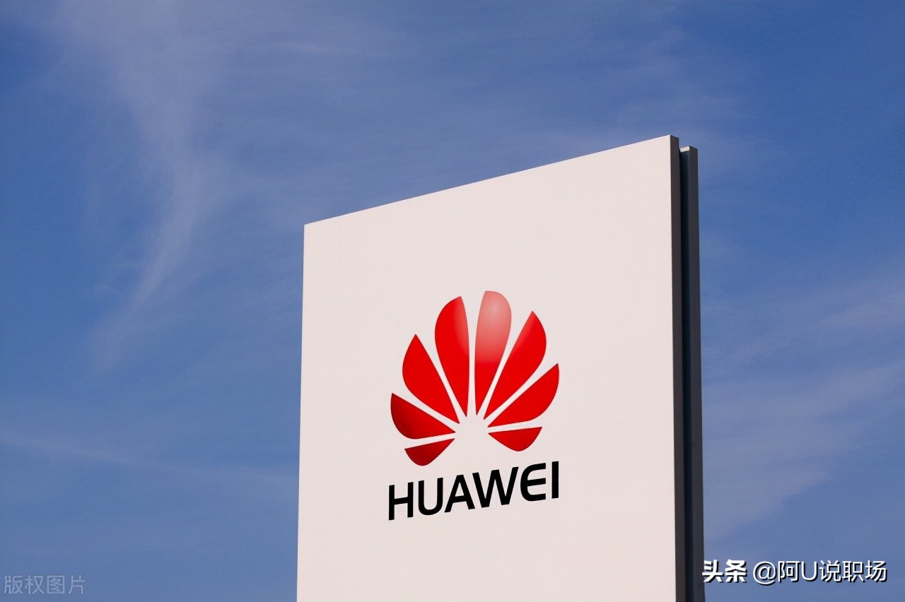 任正非的管理思想和华为经验,任正非洞察