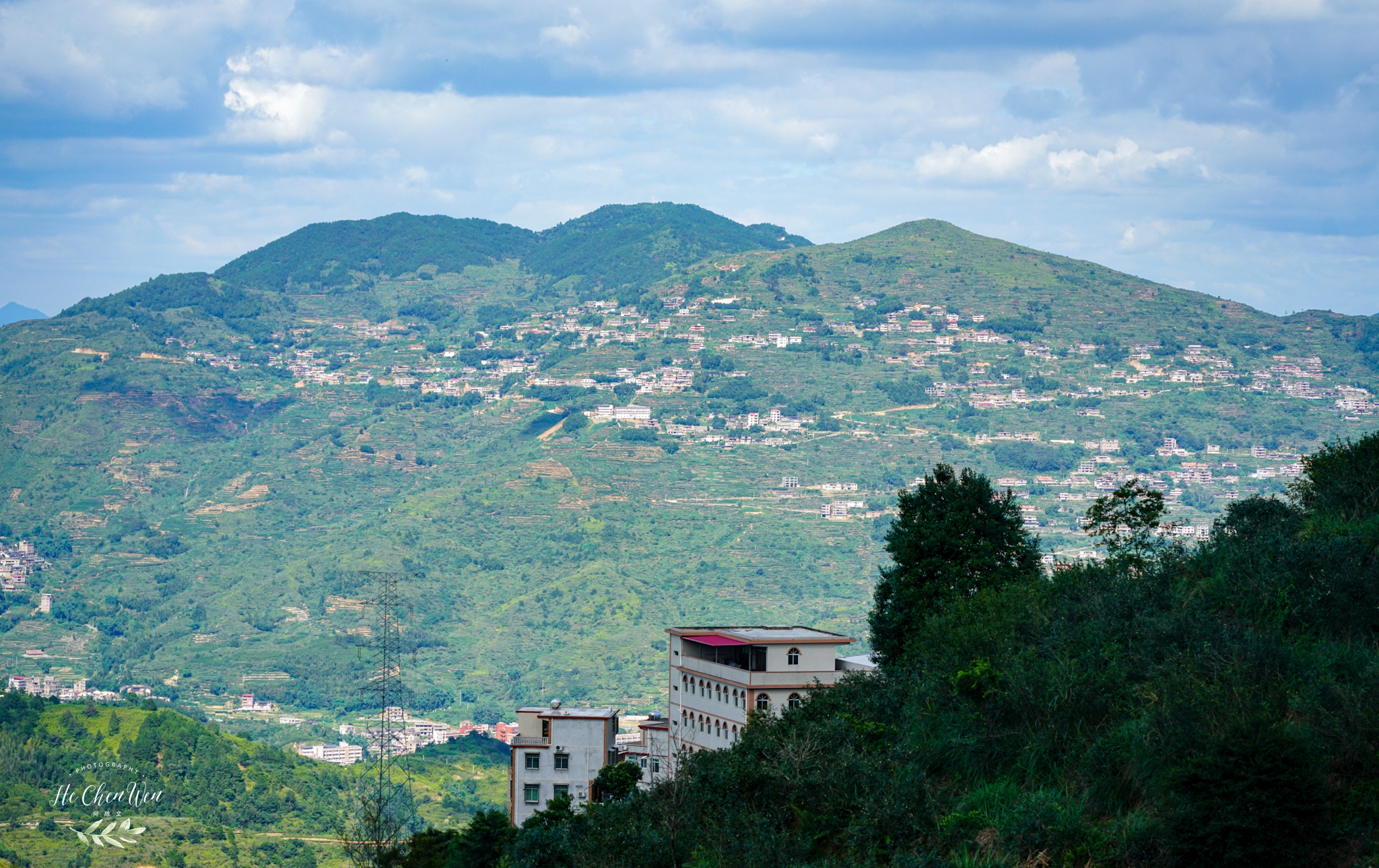 中国十大品牌铁观音茶叶,铁观音福建中国十大名茶