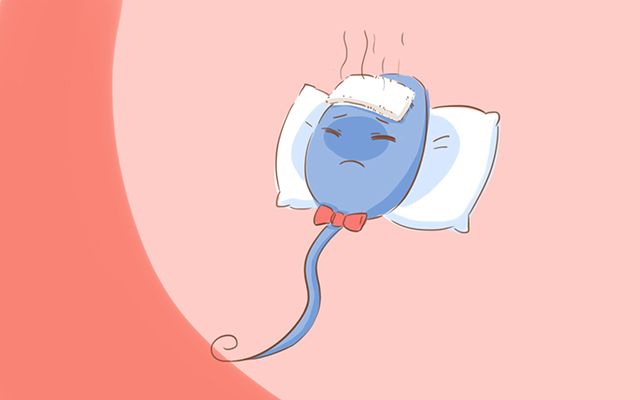 受孕时精子要经过宫腔吗,受孕对精子有什么要求