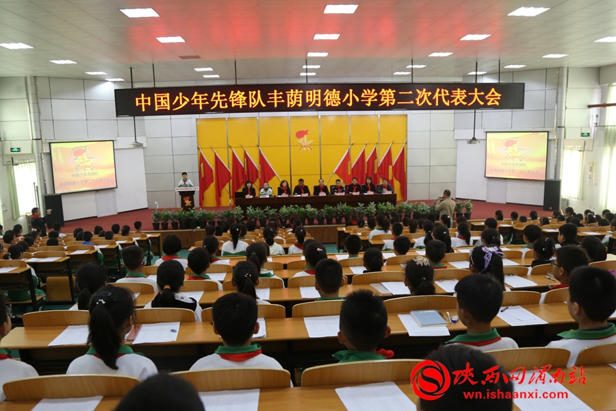 少年先锋队学校代表大会,小学少年先锋队代表大会