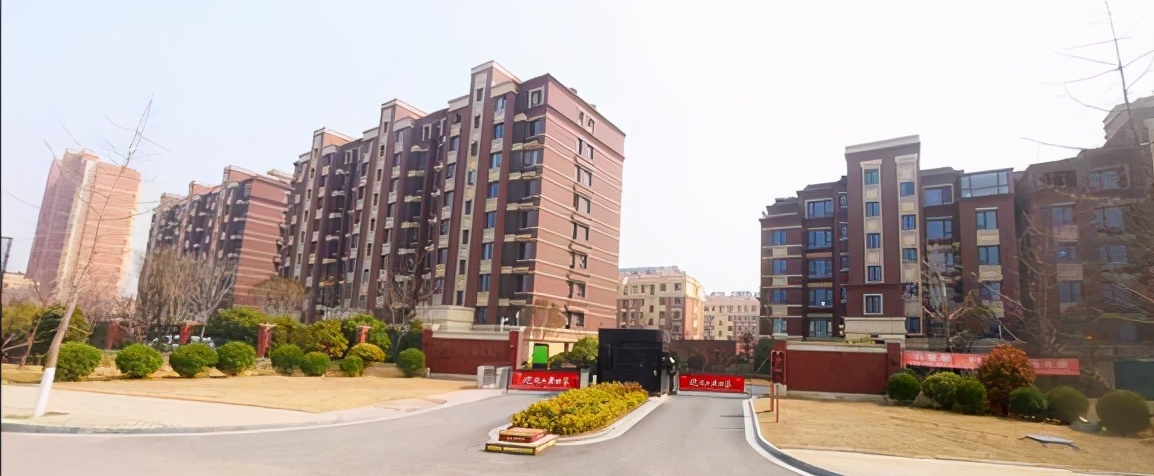 西海岸31条新道路名单,西海岸新道路有哪些