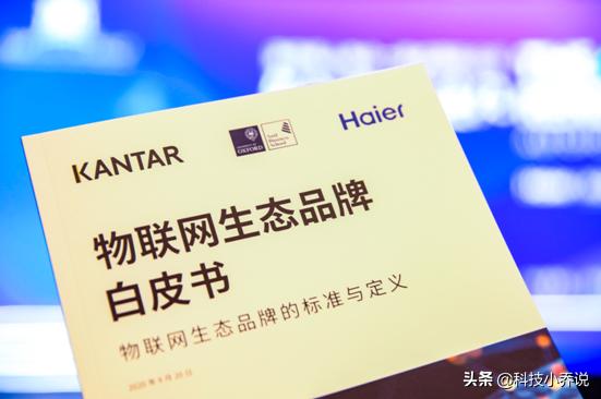 海尔集团人单合一视频,海尔人单合一模式的局限