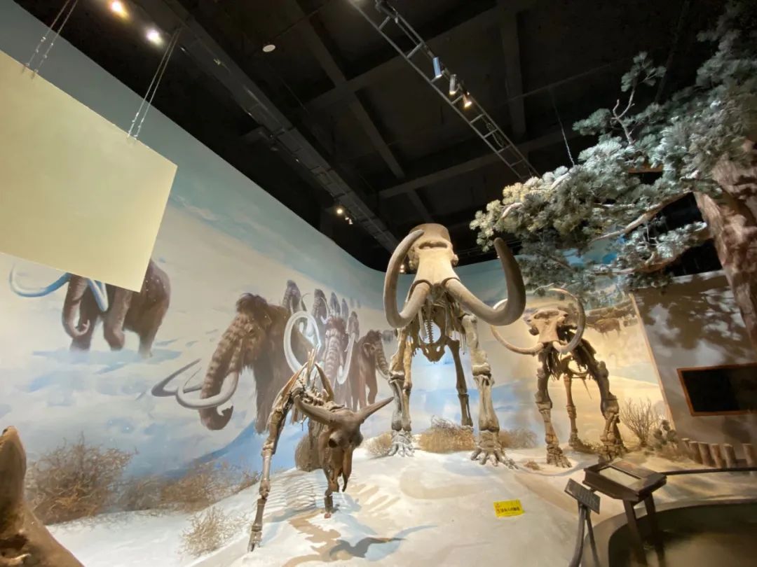 自驾三天呼伦贝尔大草原,自驾去呼伦贝尔草原七日游的攻略