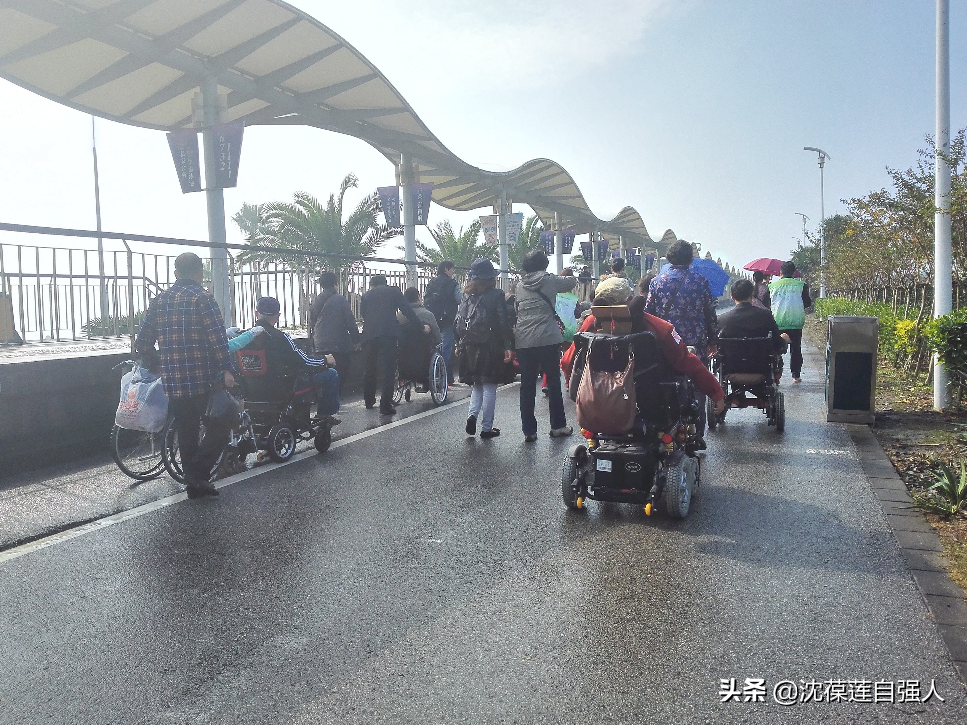 残疾人旅游最新政策,上海残疾人免费旅游吗