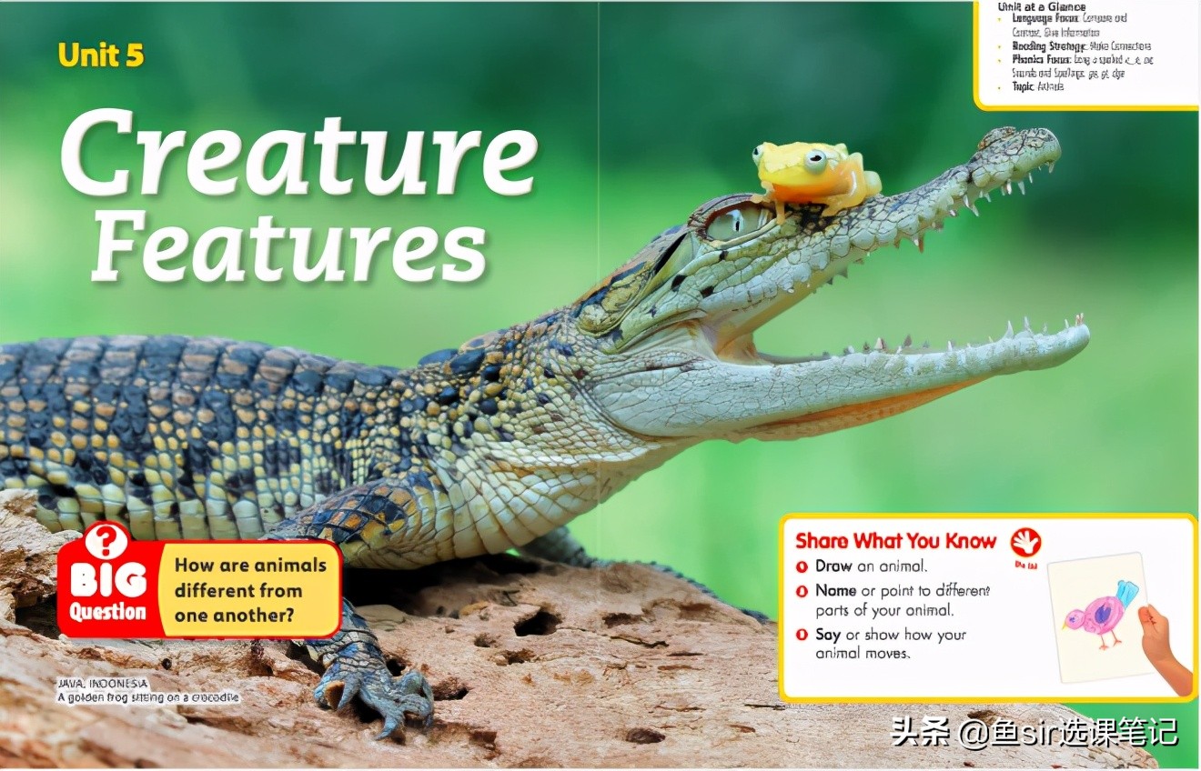 阿卡索学英语口碑如何,阿卡索英语半年课价钱