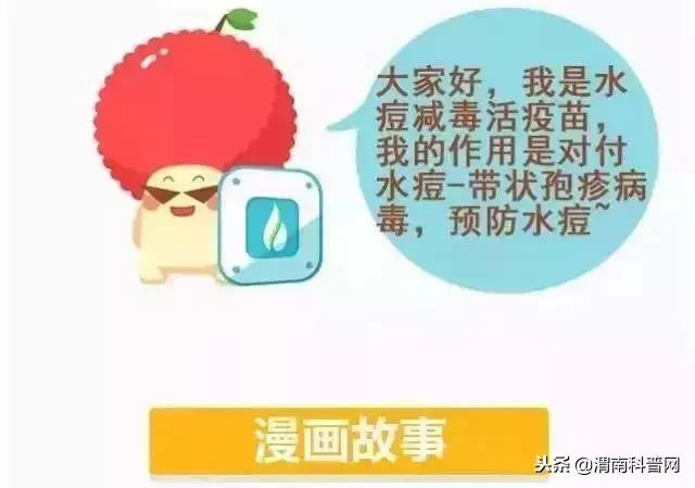 水痘基本知识图解,学校水痘的防控措施