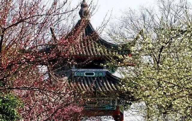 为什么武汉人喜欢广东人,为什么武汉人喜欢四川人