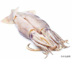 买鱿鱼要注意什么,买鱿鱼丝需要注意什么