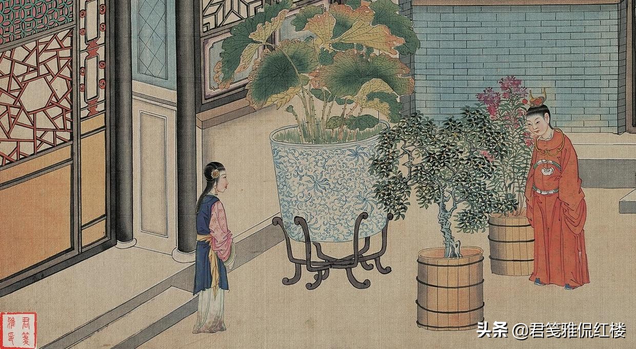 紫菱洲这名字有什么隐喻?曹雪芹借“菱”字,写尽迎春凄苦一生