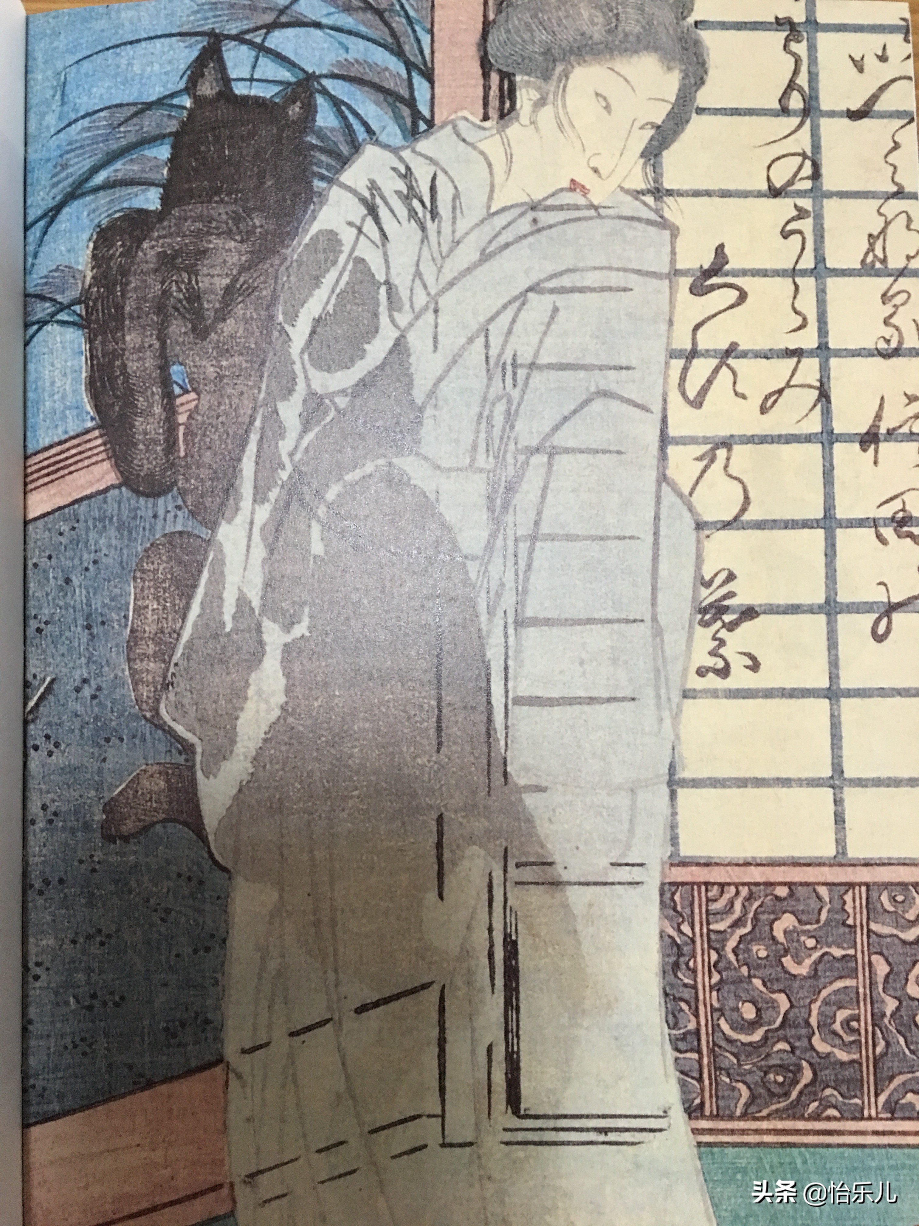 青丘之山有兽焉下一句,青丘之山里真的有九尾狐吗