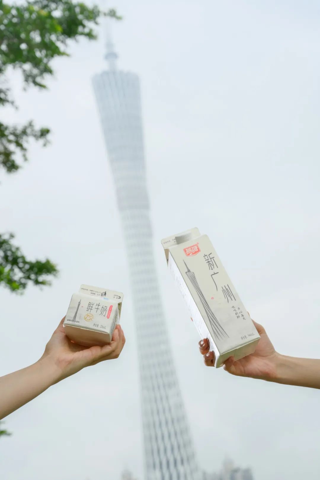 今时今日，连燕塘牛奶也有「小蛮腰」了？