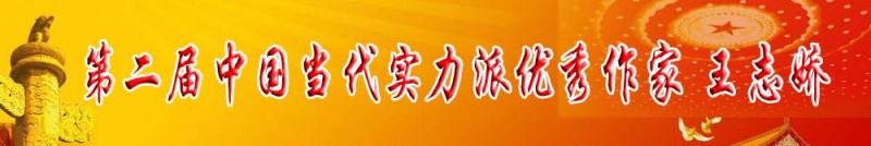 第二届中国当代实力派优秀作家王志娇