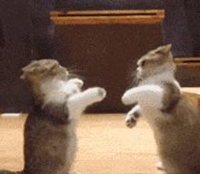 电脑卡顿严重解决方法需要换什么,解决电脑卡顿详细教程