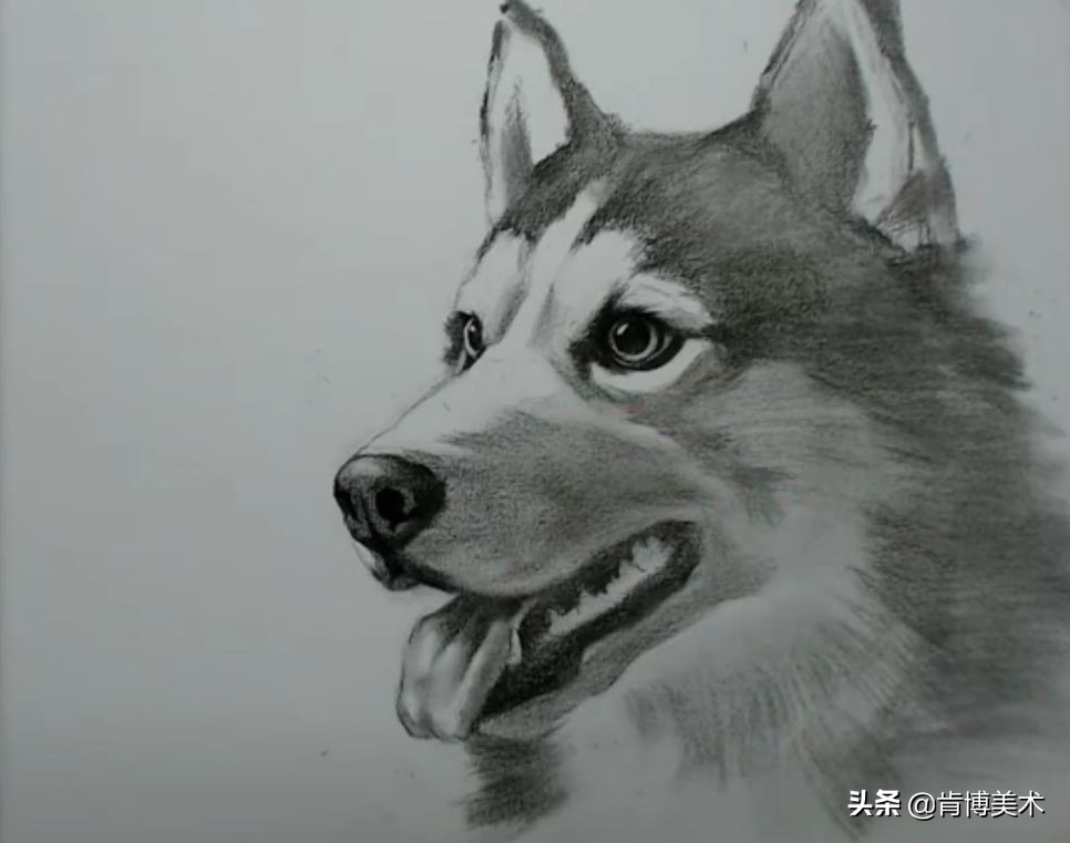 大触学画画,大触画师的简单素描