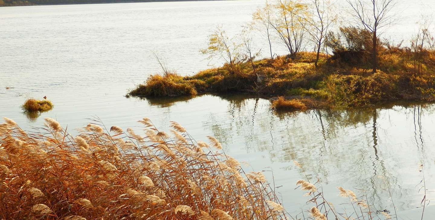 衰老的皮肤从缺水开始,干涸的水塘