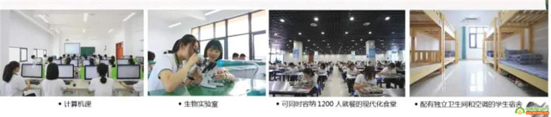 徐州市树恩高级中学：徐州“清华班”欲缔造神话