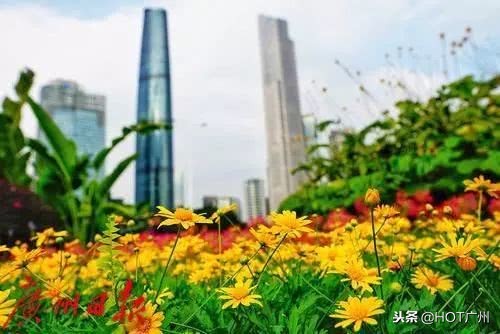 广州绿道攻略,广州旅游观光1线