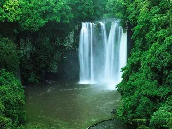 悟禅心语:佛性才是真正的个性,开悟后自然呈现!