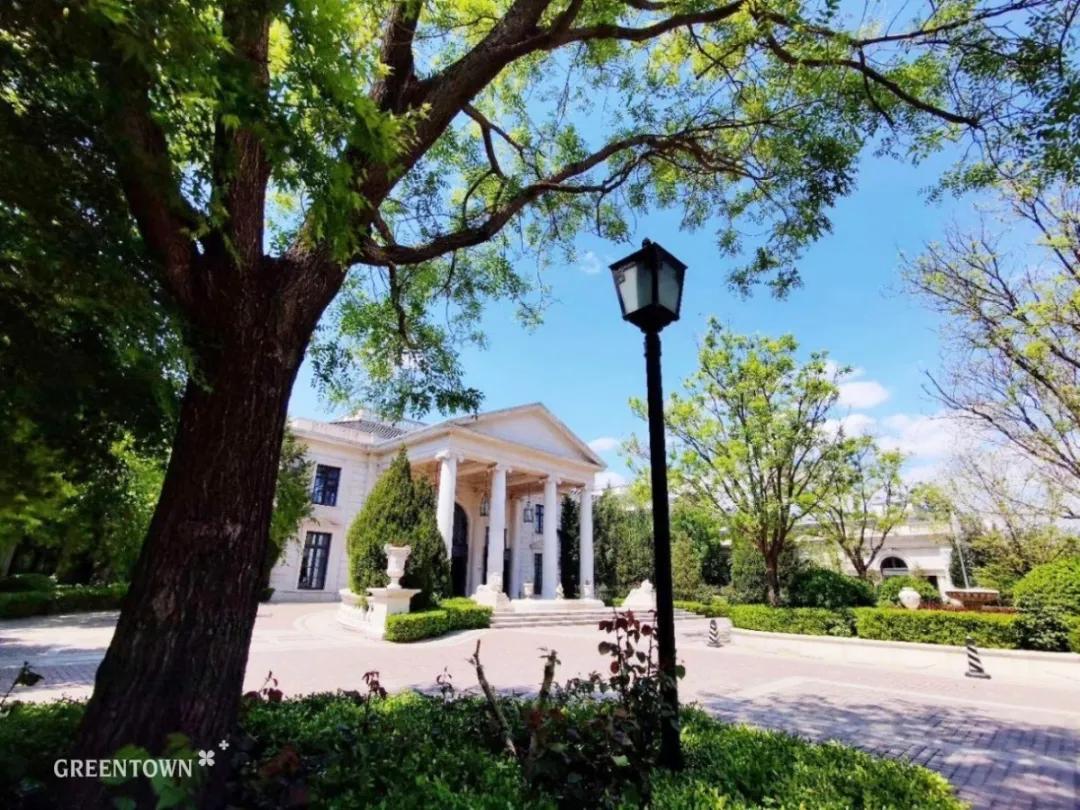 多年后还是你年轻模样,多年后你还是原来的你