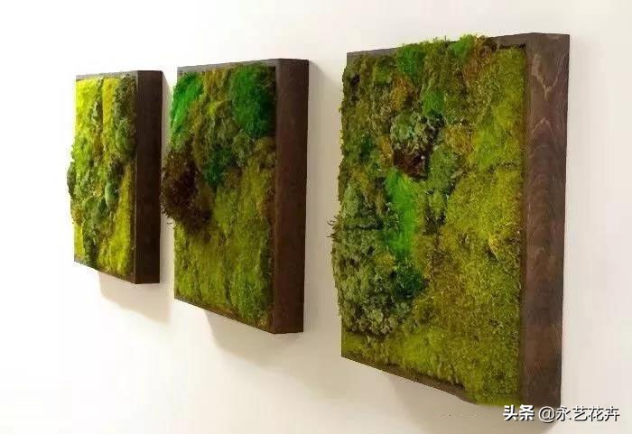 永生苔藓墙多少钱一平方,永生苔藓仿真植物墙