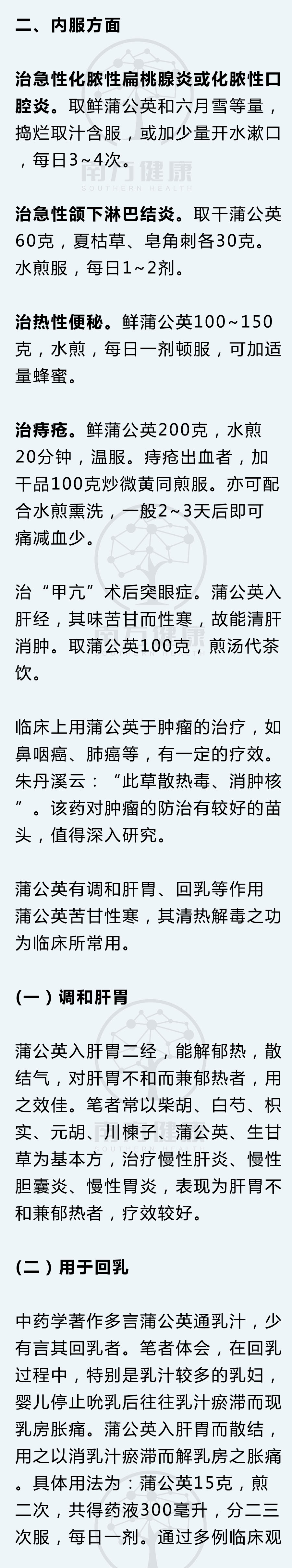 蒲公英怎么处理可入药,蒲公英治什么病最好还可以怎么吃