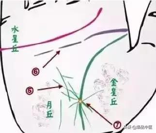 手诊图大全清晰图手背,全息手诊图