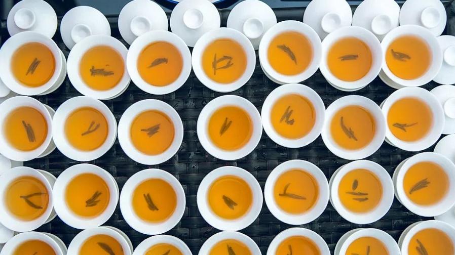 和平区这家酒馆藏着太多“怪物”，个顶个出奇，很多都没喝过