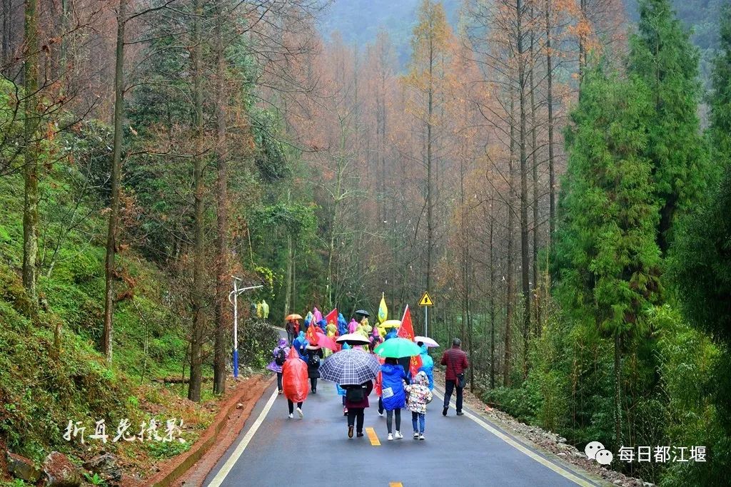 赵公山大熊猫国家生态公园,赵公山大熊猫生态公园
