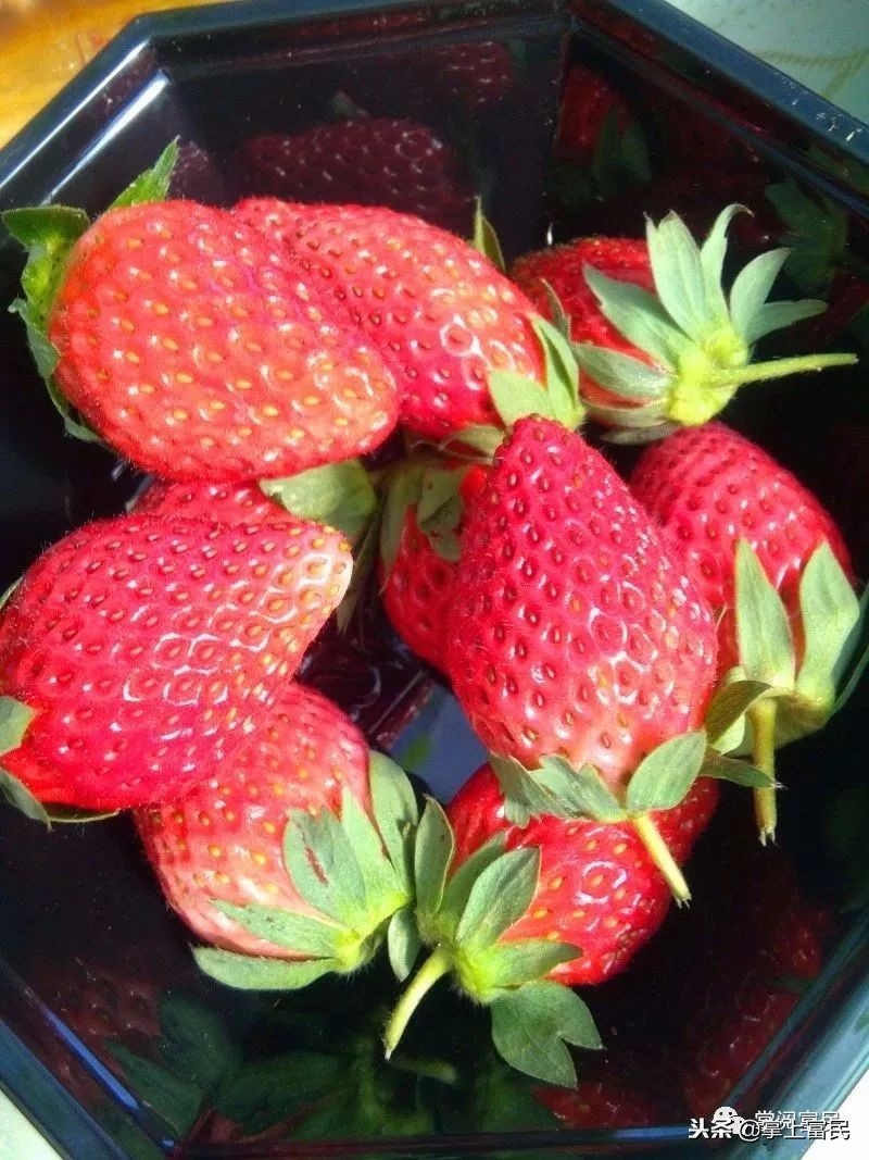 家乡是我们成长的沃土,家乡是生养我们的地方