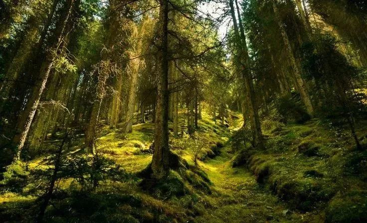 美爆了！让全世界听到，我的名字叫白银！！！