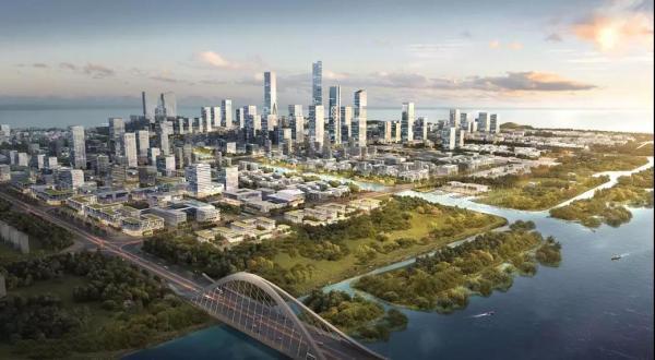 博拓咨询年终盘点|感恩不落幕，迎势再起航