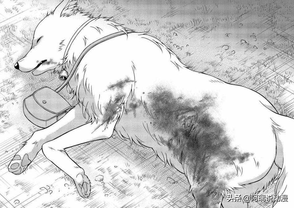 社畜穿越到异世界,社畜穿越到过去