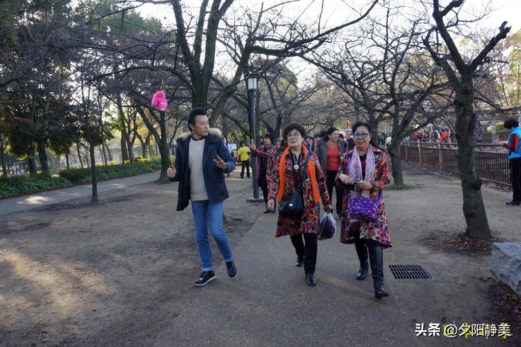 大阪心斋桥一人游攻略,旅游回来心得