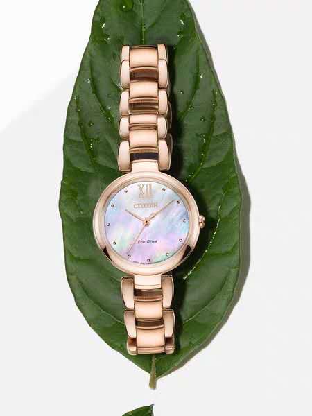 女表3000到4000的手表,3000劳力士日志女表31mm带钻