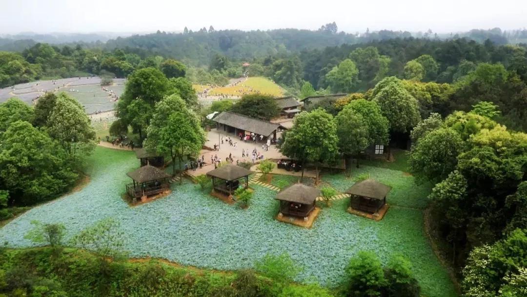 成都最有潜力的花园,成都是个大花园