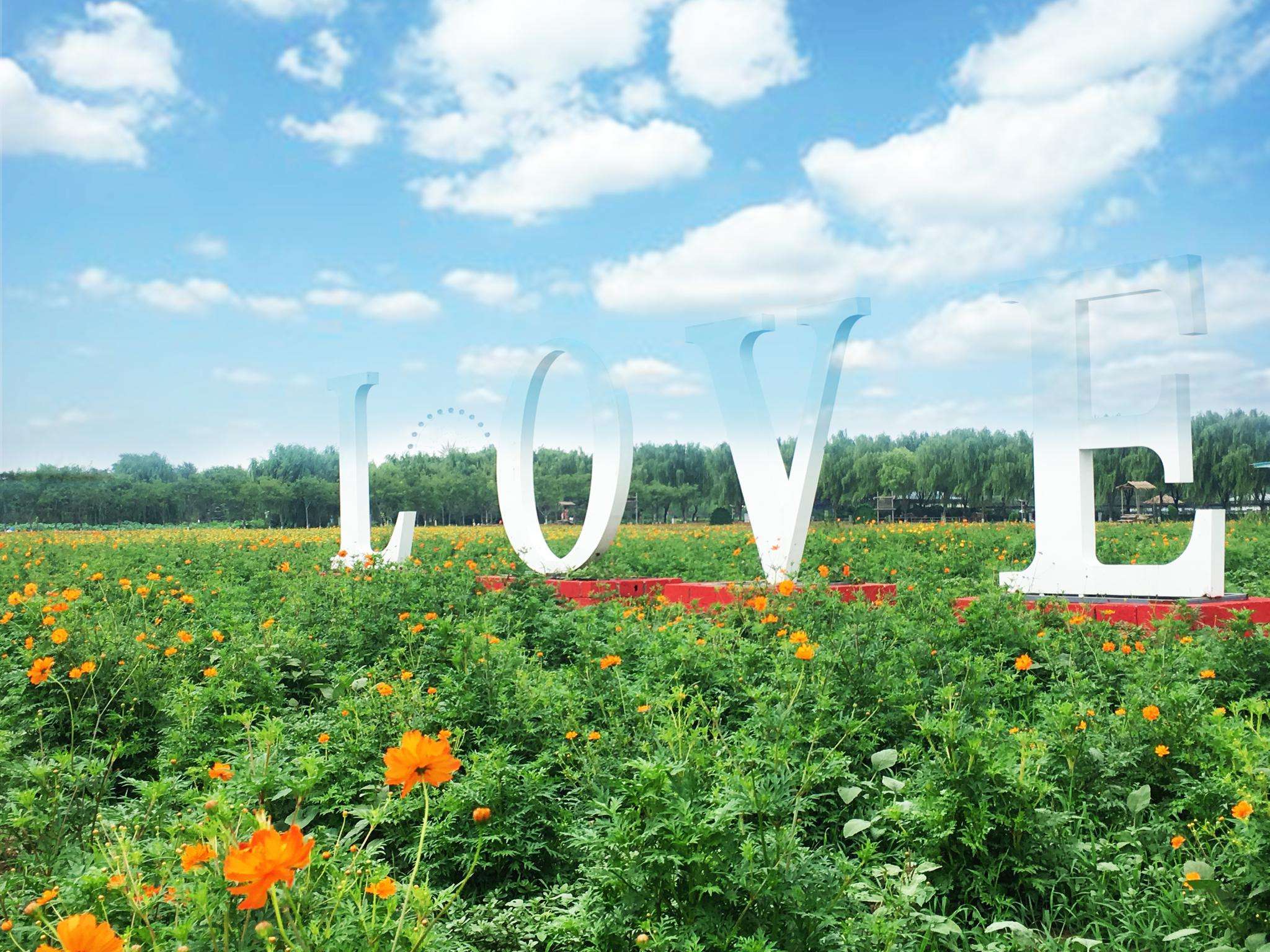 兰陵县蔬菜批发市场多少个,兰陵县蔬菜批发市场有多少个