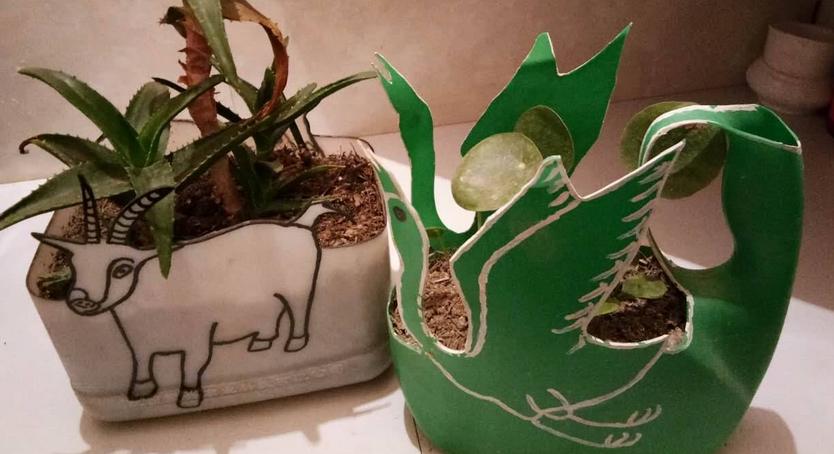 塑料瓶养花的正确方法,适合养花的塑料瓶