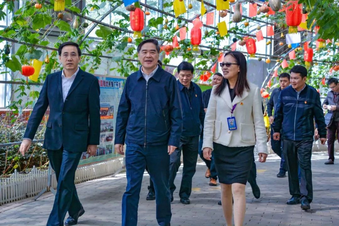 中农富玉大事记,中农富玉未来发展趋势