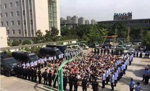 打击扫黄行动,打击传销铲除毒瘤