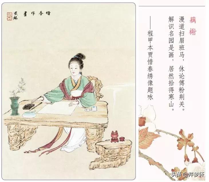 红楼梦十二钗全文赏析,红楼十二钗电影